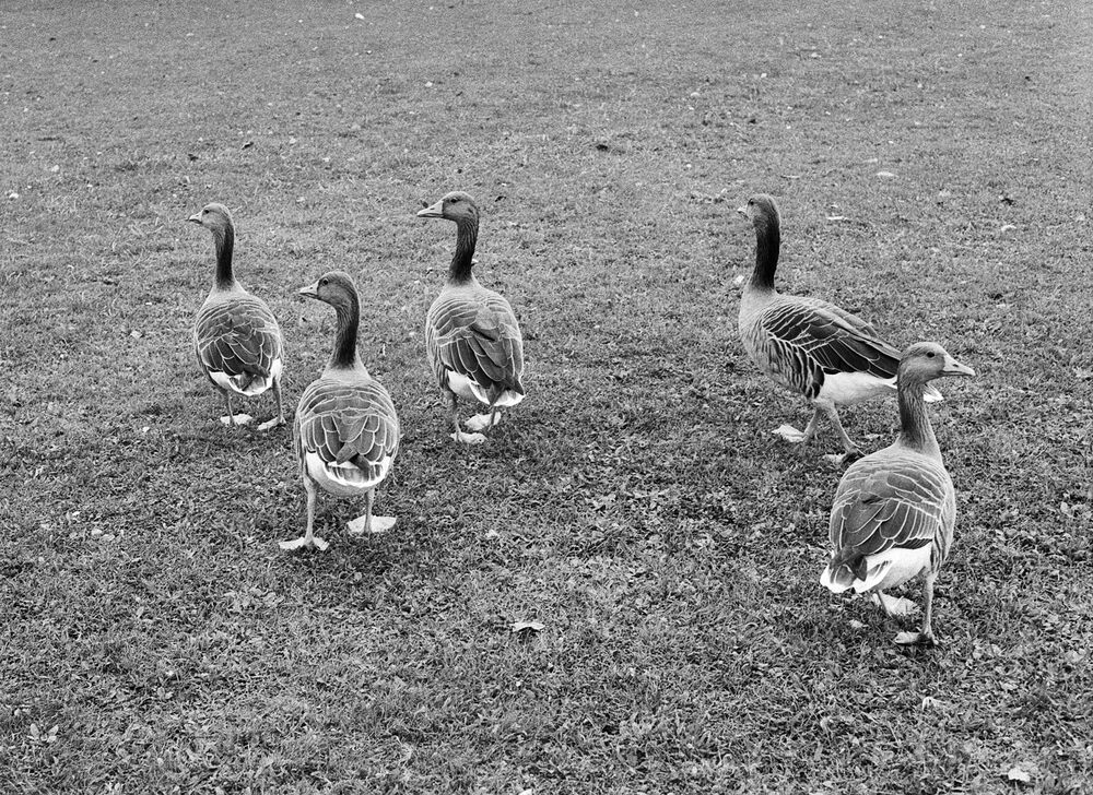 SL Editions > Fanzine > D. M. Terblanche > Slider > Visual 2 > image