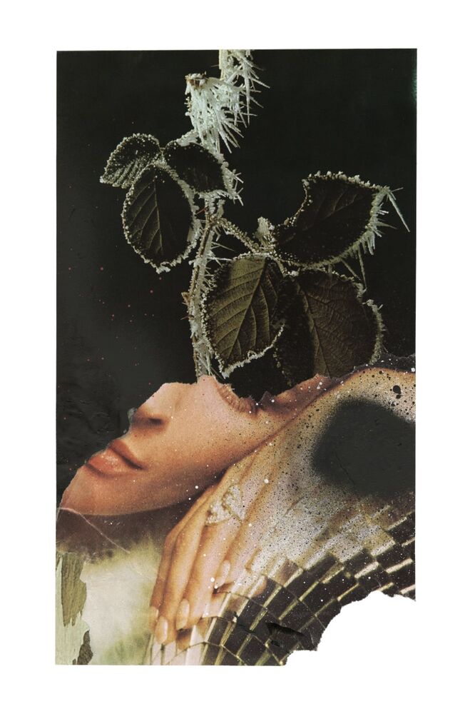 SL Editions > Fanzine > Julien Lagendorff > Slider Soft > Visual 4