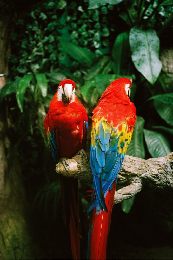 SL Editions > Fanzine > Jonathan LLense > Slider Soft > Visual 21 > image