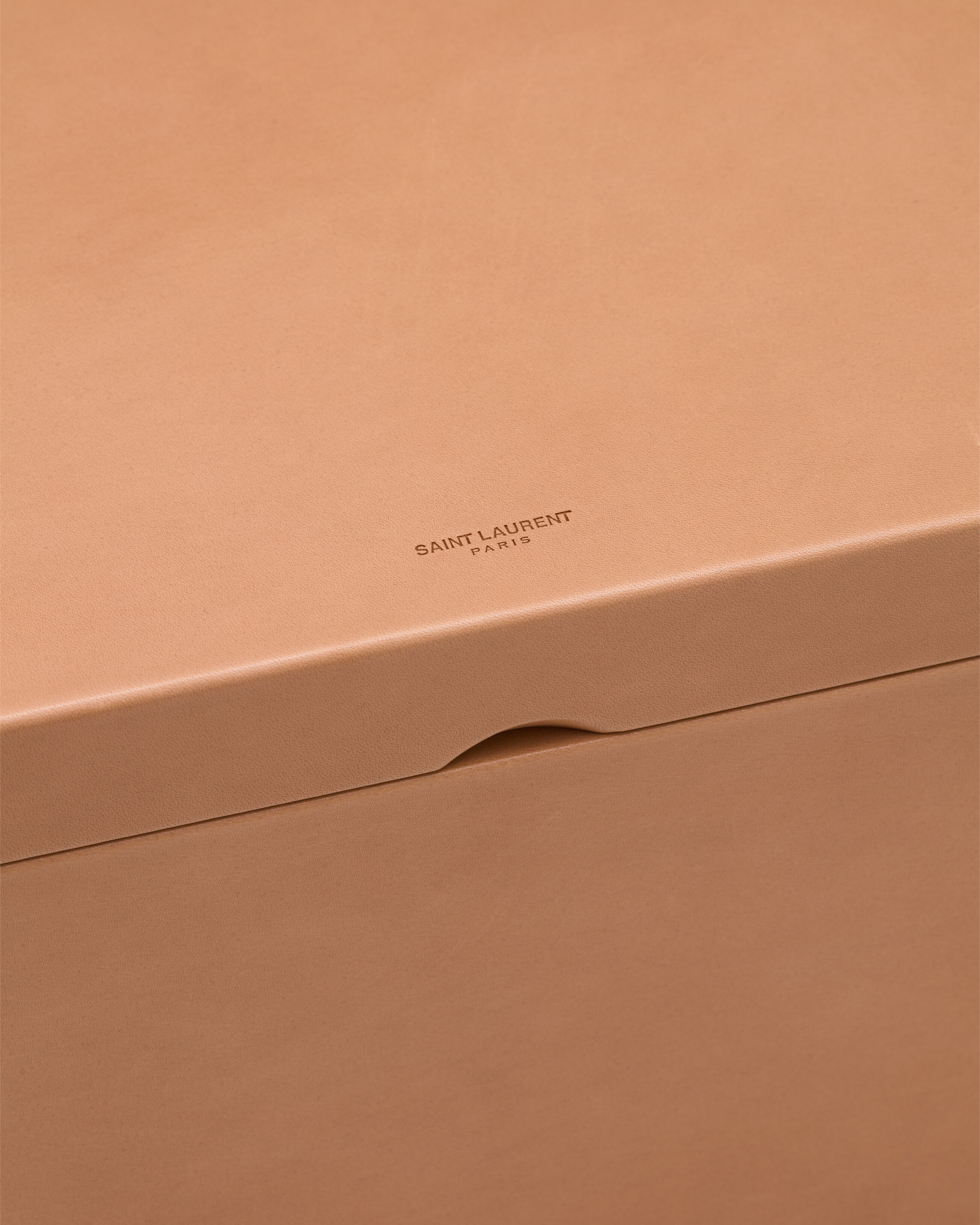 SMALL BOX IN VEGETABLE-TANNED LEATHER | Saint Laurent | YSL AU
