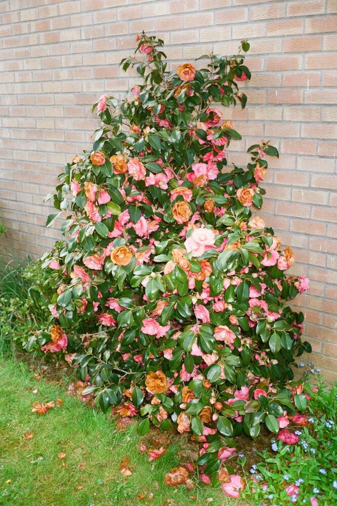 SL Editions > Fanzine > Jonathan LLense > Slider > Visual 14 > image