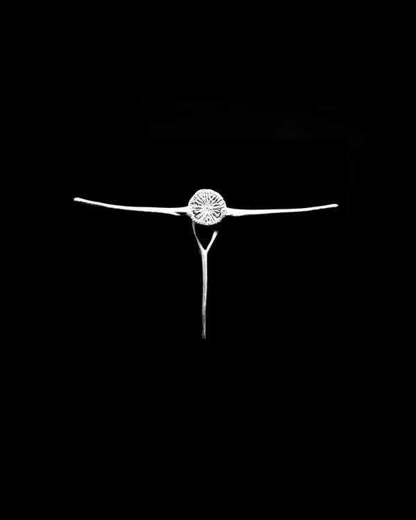 Func Image: Charlotte Perriand Exhibition 2