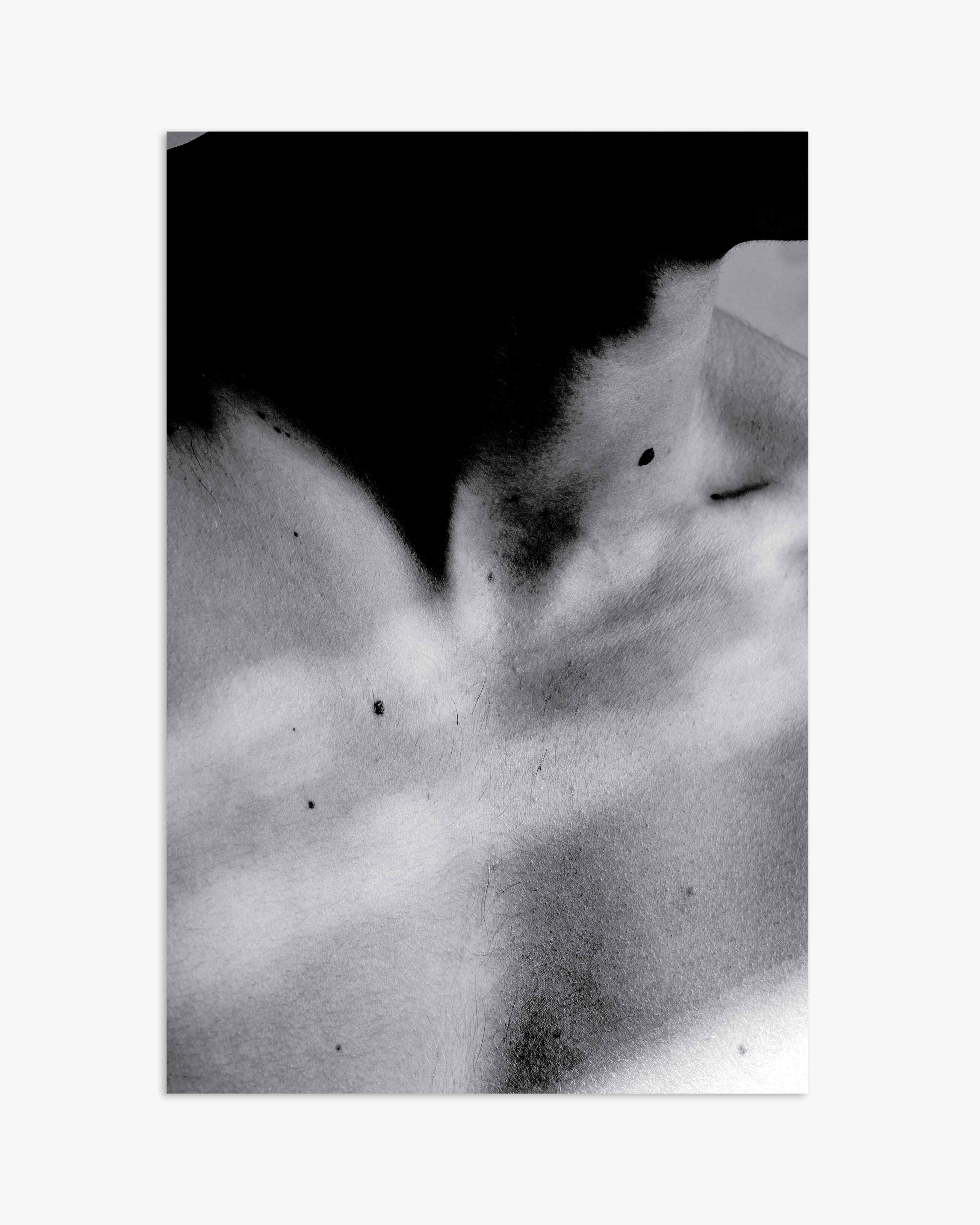 SEBASTIEN ZANELLA POSTER 05