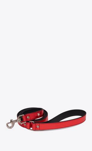dog leash in metallized leather
