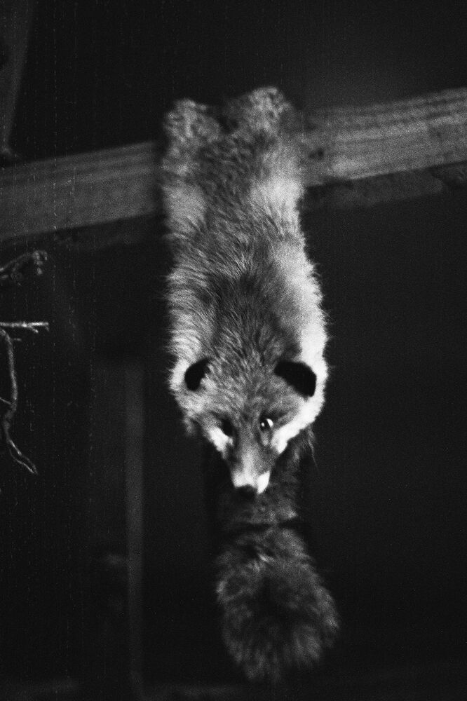 SL Editions > Fanzine > D. M. Terblanche > Slider > Visual 17 > image