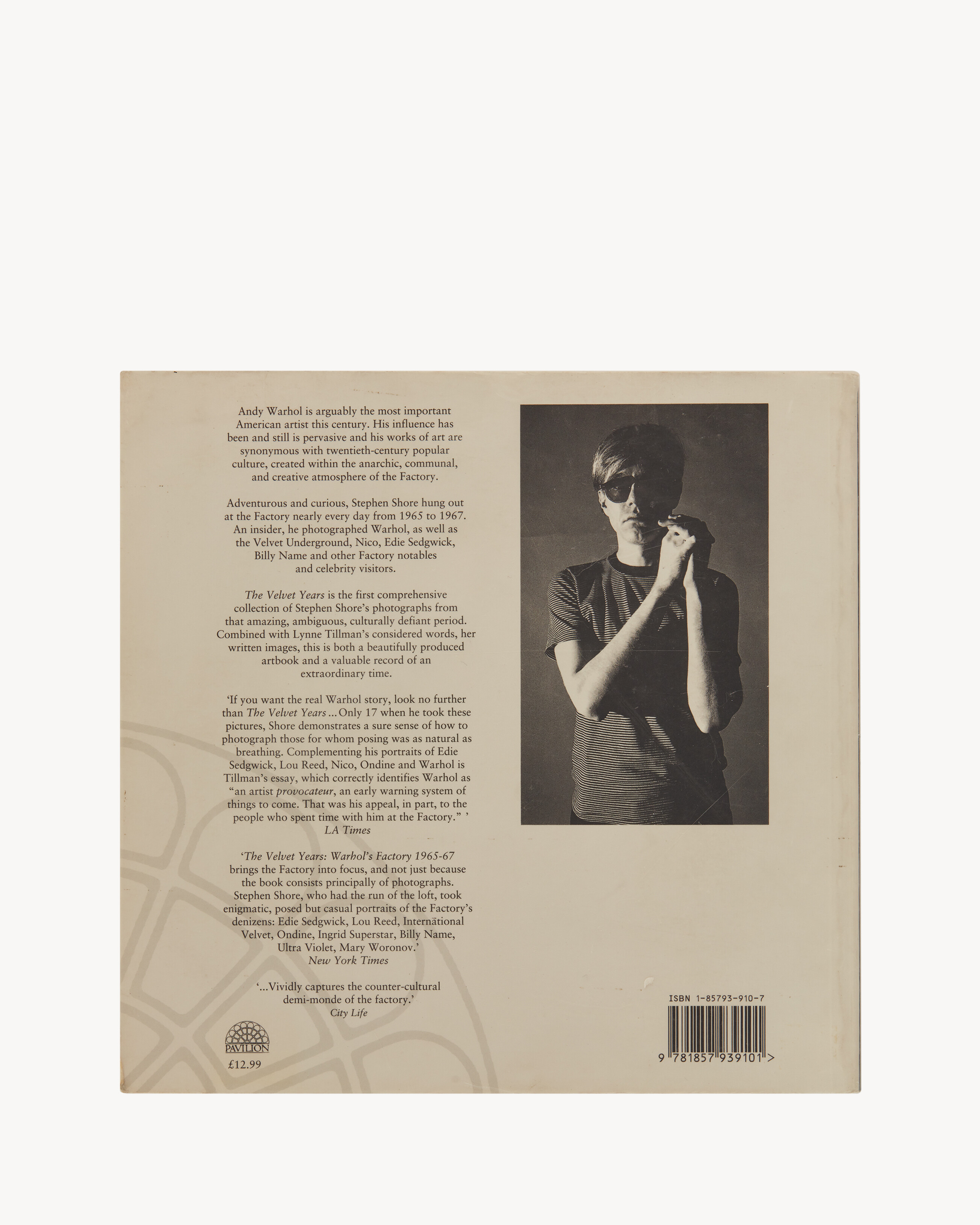 STEPHEN SHORE  « THE VELVET YEARS »