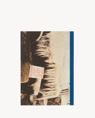 please send to real life: ray johnson photographs