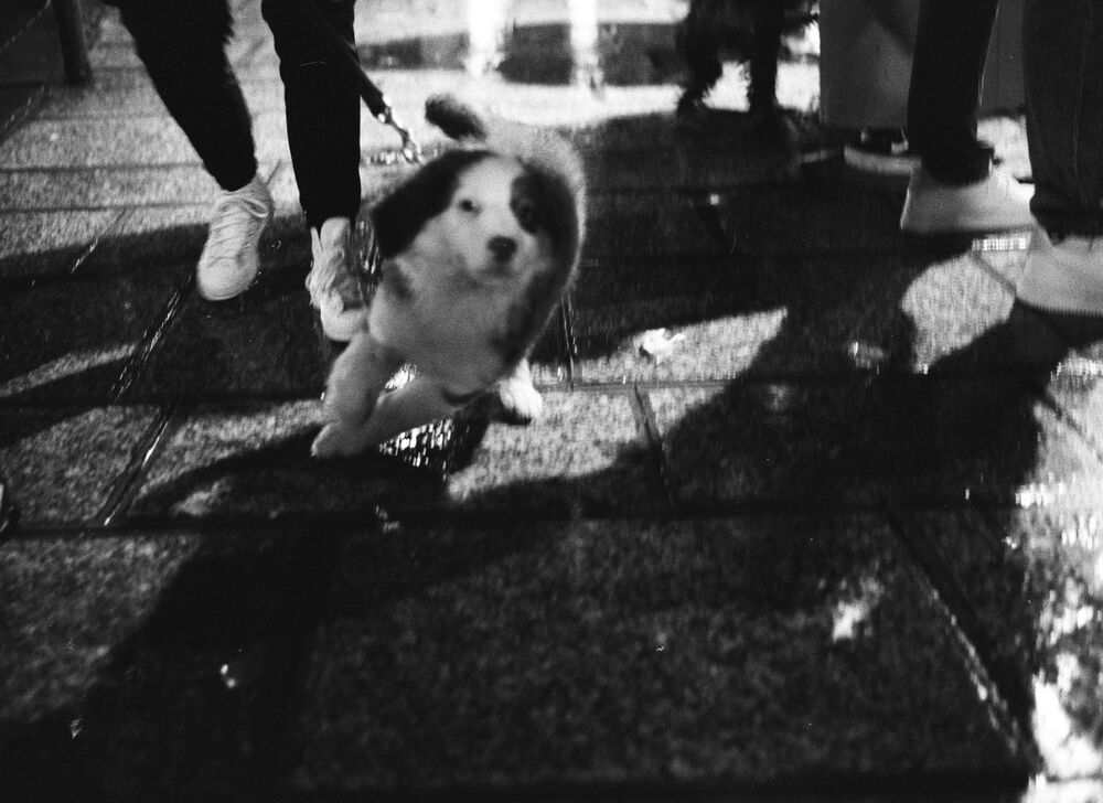 SL Editions > Fanzine > Theo Le Foll > Slider Soft > Visual 5