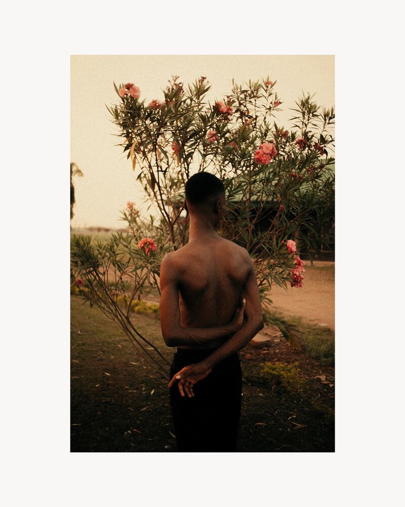 ODE TO SUNSET