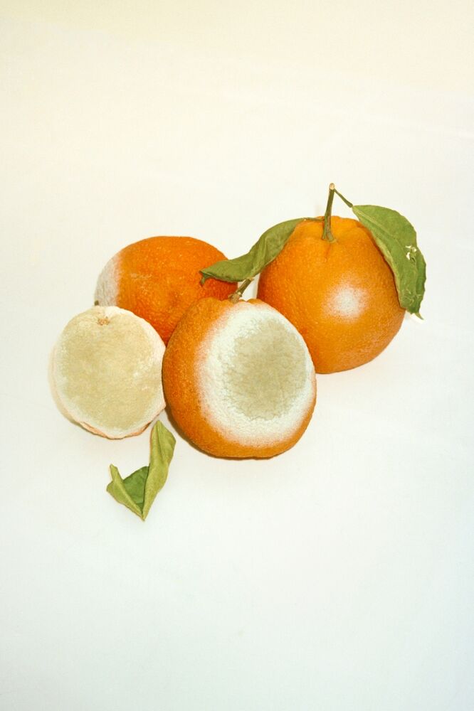 SL Editions > Fanzine > Jonathan LLense > Slider > Visual 11 > image