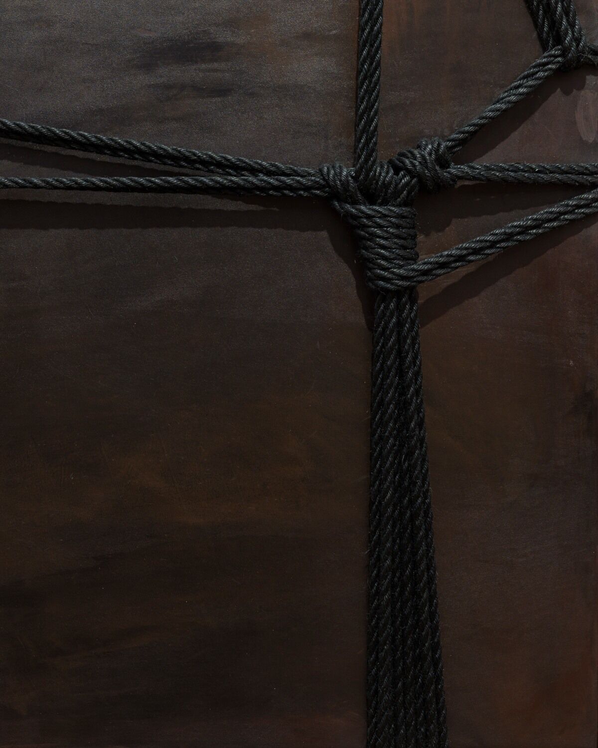 Func Image > Tiona Exhibition