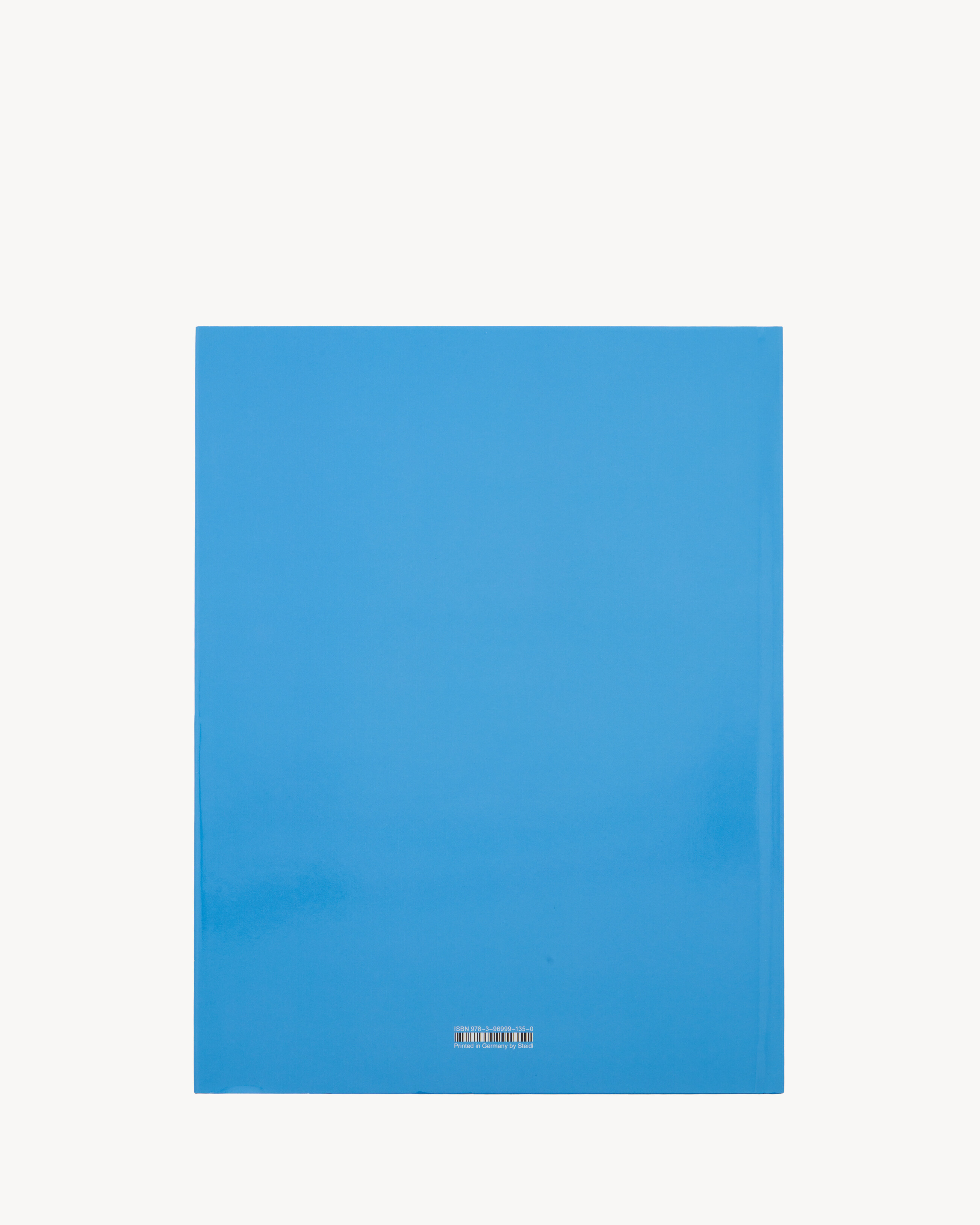 JUERGEN TELLER NOTES ABOUT MY WORK