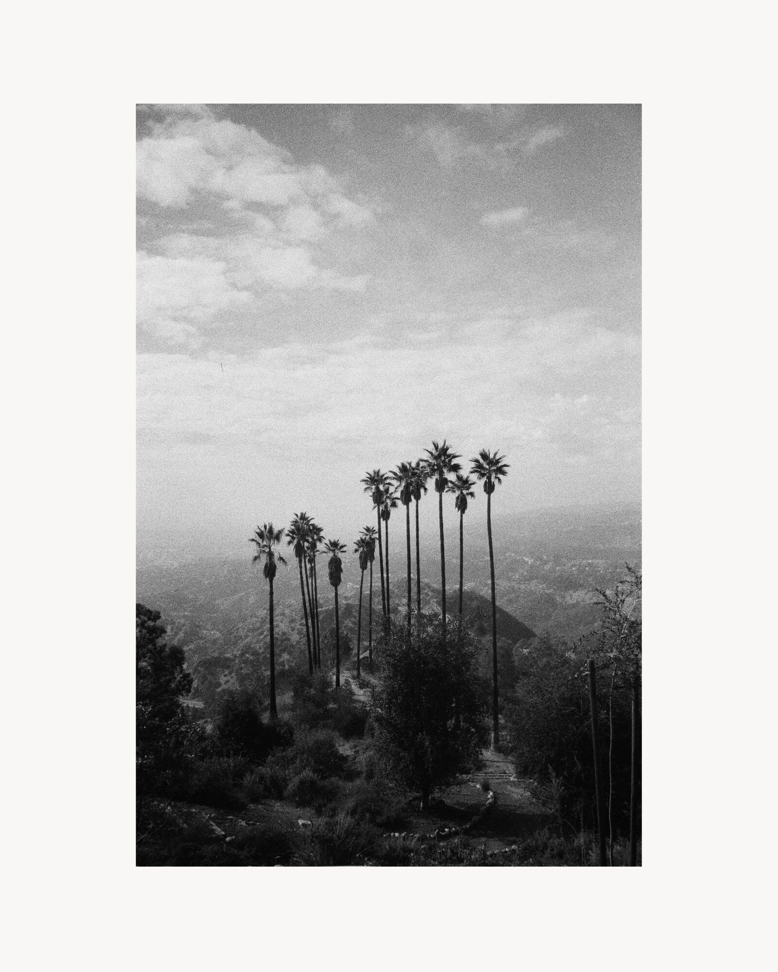 UNTITLED