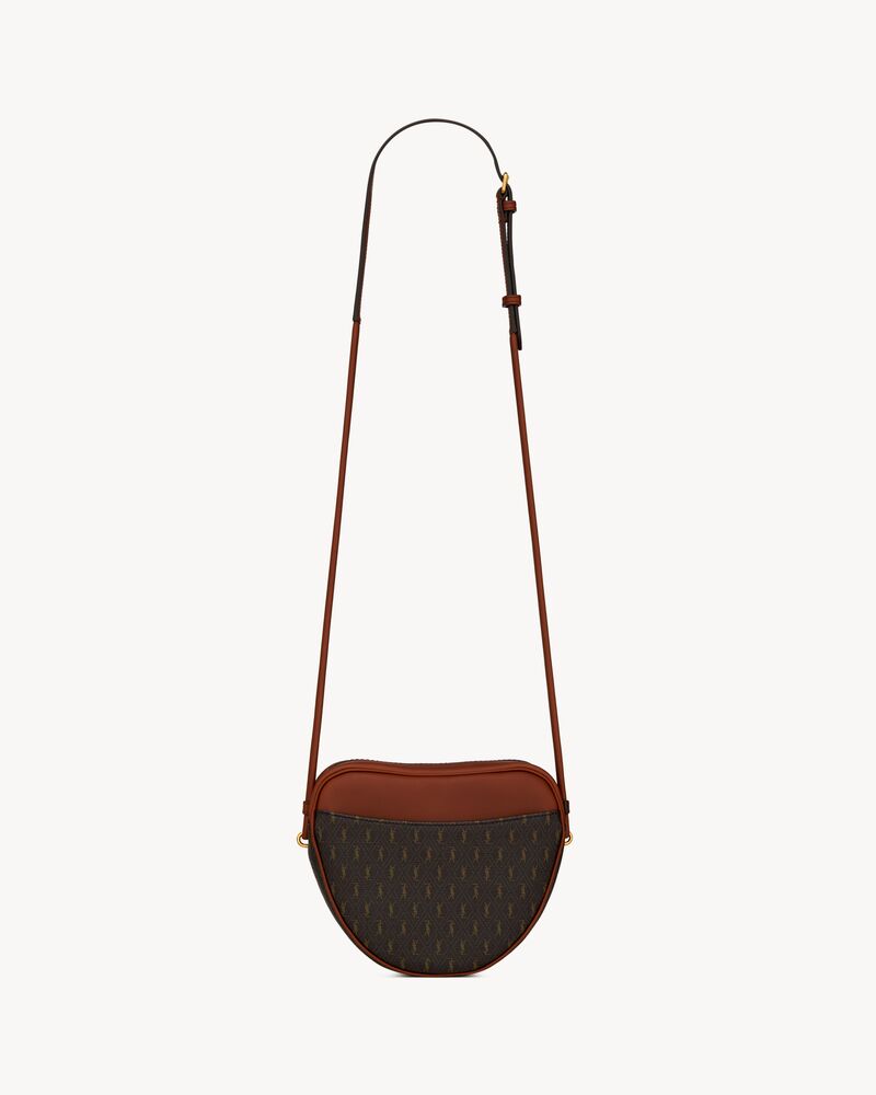 le monogramme camera bag in cassandre canvas and smooth leather