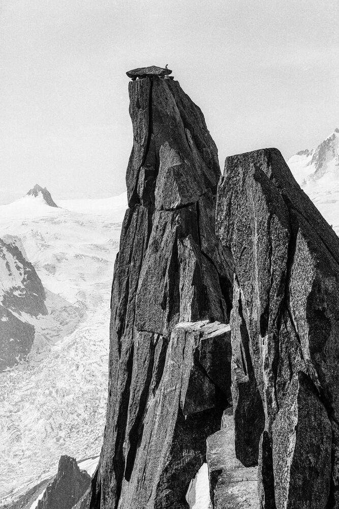 Func Image: Charlotte Perriand Exhibition