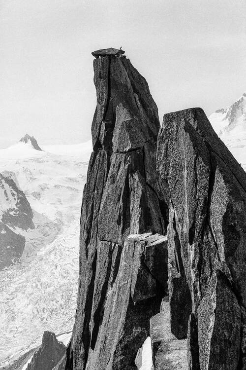 Func Image: Charlotte Perriand Exhibition
