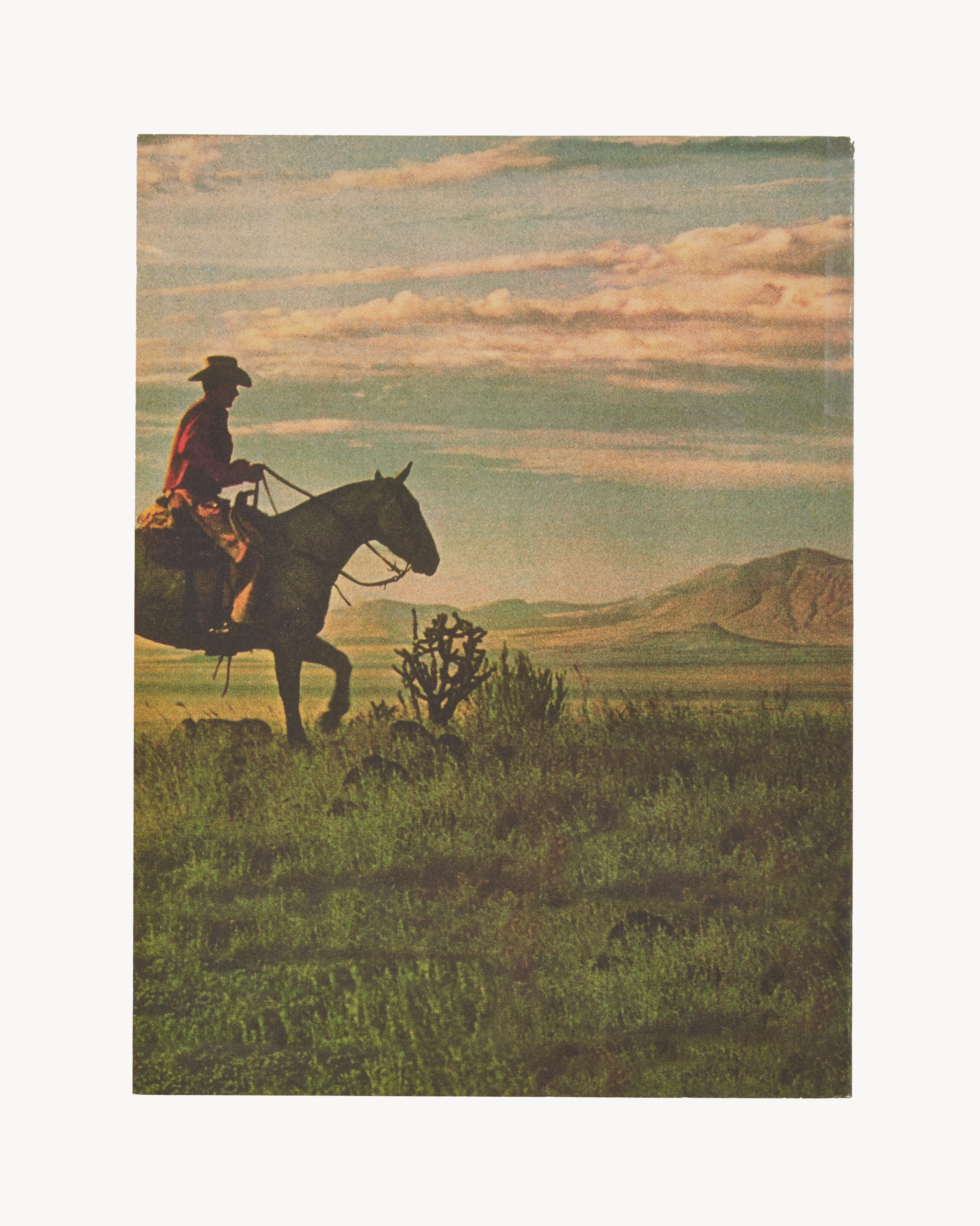RICHARD PRINCE COWBOY