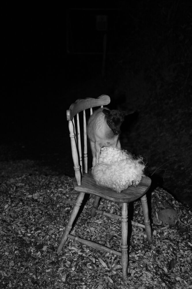 SL Editions > Fanzine > Ada Marino > Slider Soft > Visual 6