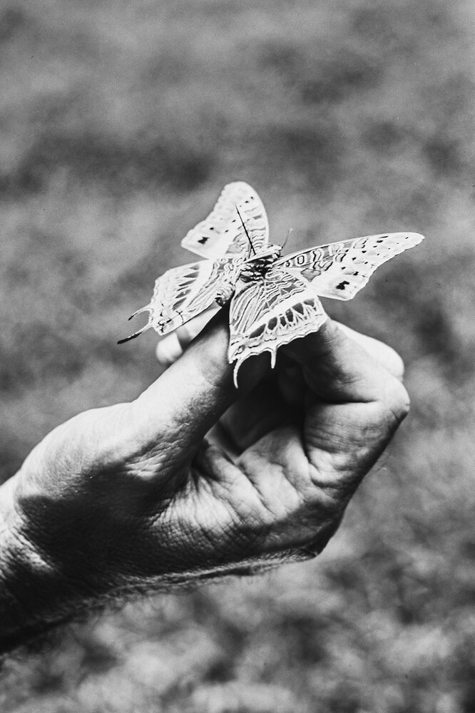 SL Editions > Fanzine > D. M. Terblanche > Slider > Visual 5 > image