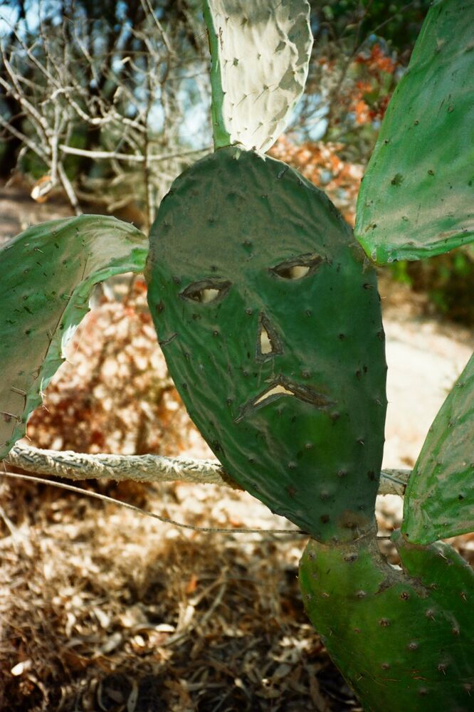 SL Editions > Fanzine > Jonathan LLense > Slider Soft > Visual 34 > image