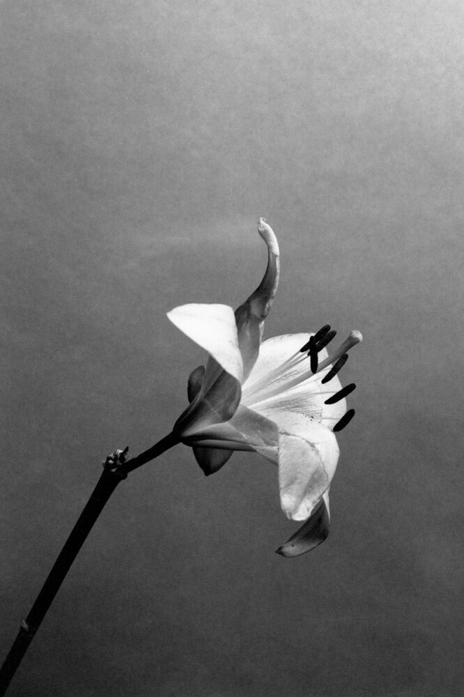 SL Editions > Fanzine > Jesse Glazzard > Slider Soft > Visual 6