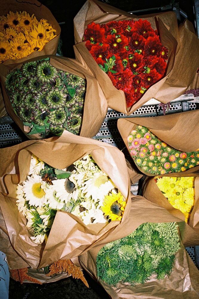 SL Editions > Fanzine > Leon Prost > Slider Soft > Visual 4