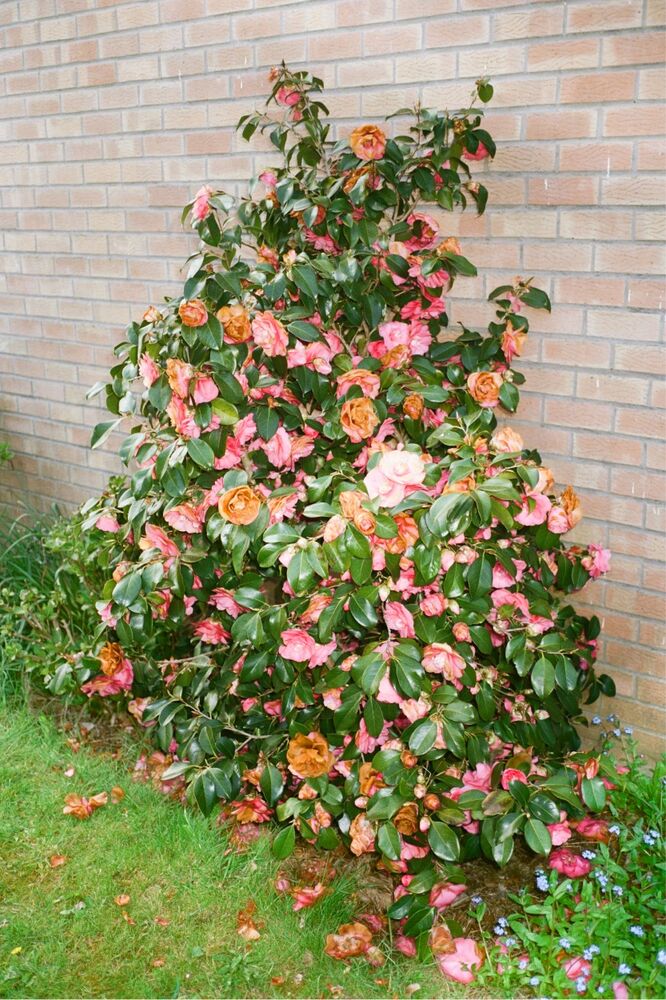 SL Editions > Fanzine > Jonathan LLense > Slider Soft > Visual 12 > image