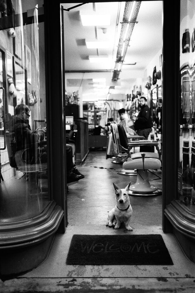 SL Editions > Fanzine > Theo Le Foll > Slider Soft > Visual 10